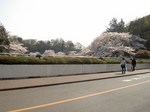 little_tamagawa_spring3.JPG
